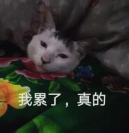 抖音终于能直播LOL了，但英雄联盟已经老了