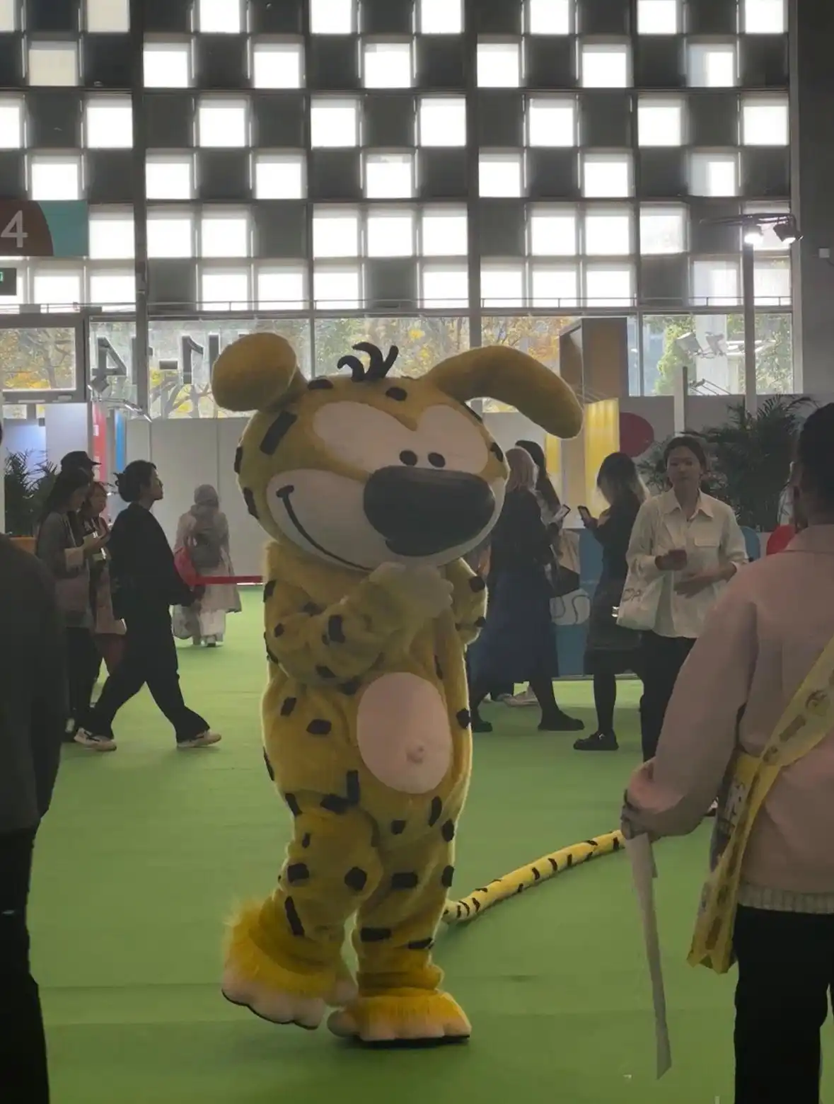 今年前10个月，抖音、小红书等内容电商卖出了47.6%的少儿图书