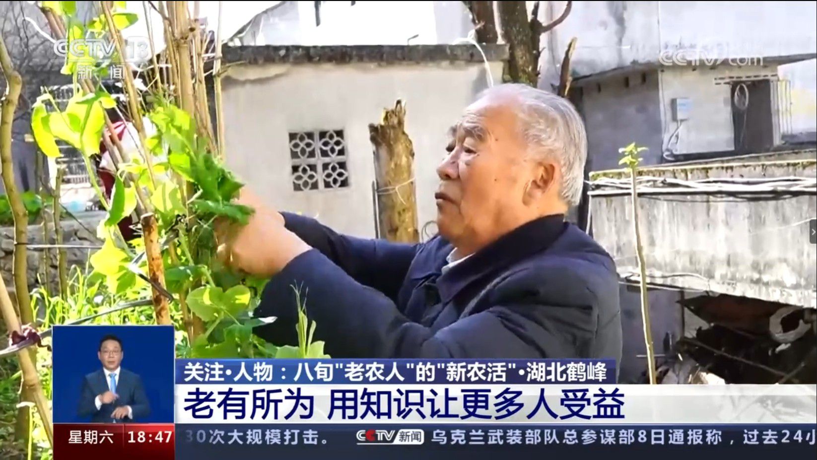 81岁教材主编抖音直播教00后学农技，央视点赞：老有所为，用知识让更多人收益