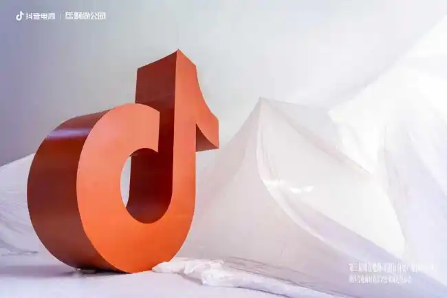 特色直播刺激羽绒消费扩容，“抖音电商·平湖好⽻绒产地溯源直播节”举办