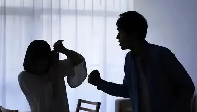 拒绝在黑暗中沉默——国际反家庭暴力日案例特辑