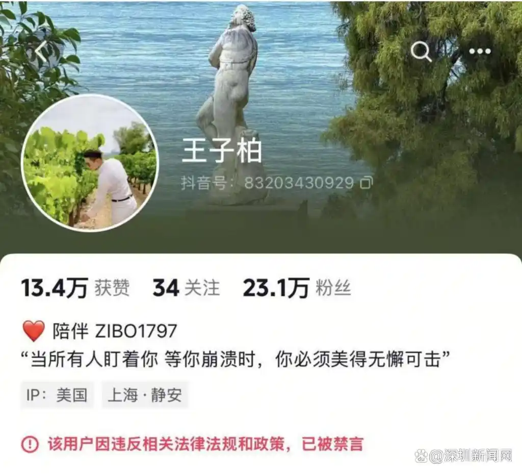 被封禁劣迹网红艺人“换马甲”复出，专家建议完善机制让违规者真正付出代价