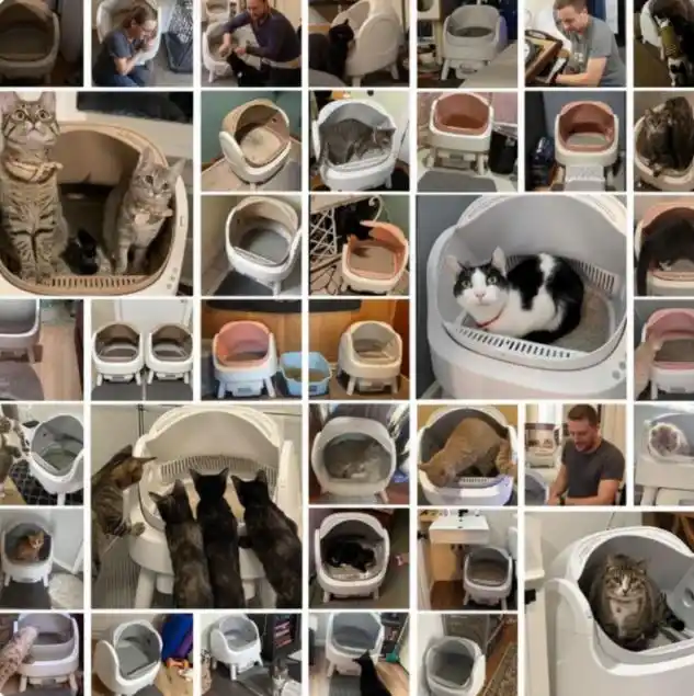 GMV 破 2 亿，登顶TikTok！PetPivot 成北美现象级宠物智能品牌