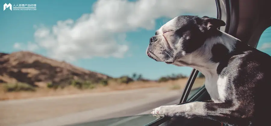 抖音“小火人”DAU破亿，养企鹅APP两年赚2000万美金，虚拟宠物正带动社交赛道二次爆发