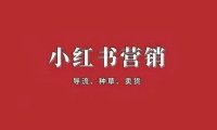 小红书拿下支付牌照：没有抖音的命，却得做抖音的梦