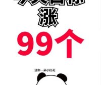 抖音如何养号快速涨粉？2025实战版从0到10万粉的全流程操作手册