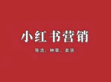小红书拿下支付牌照：没有抖音的命，却得做抖音的梦