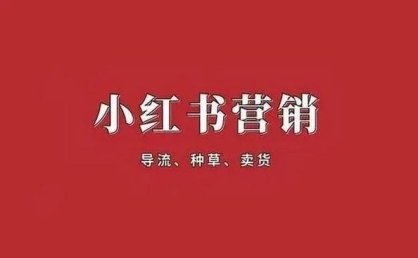小红书拿下支付牌照：没有抖音的命，却得做抖音的梦