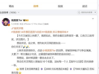 千万粉丝博主“桃黑黑”发长文回应各类质疑，自查自罚捐款超50万元